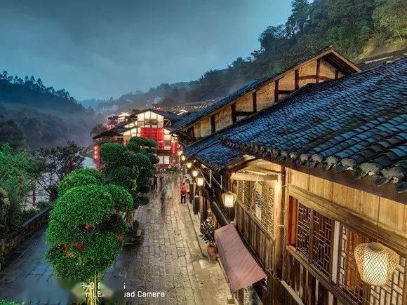 植物大战僵尸17